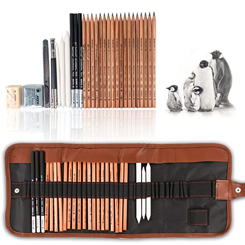 Algopix Similar Product 3 - 29 Pieces Professional Sketching 