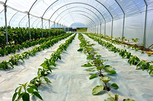 Algopix Similar Product 2 - SUNSCOVER Greenhouse Plastic Film Clear