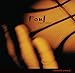 Algopix Similar Product 11 - Foul