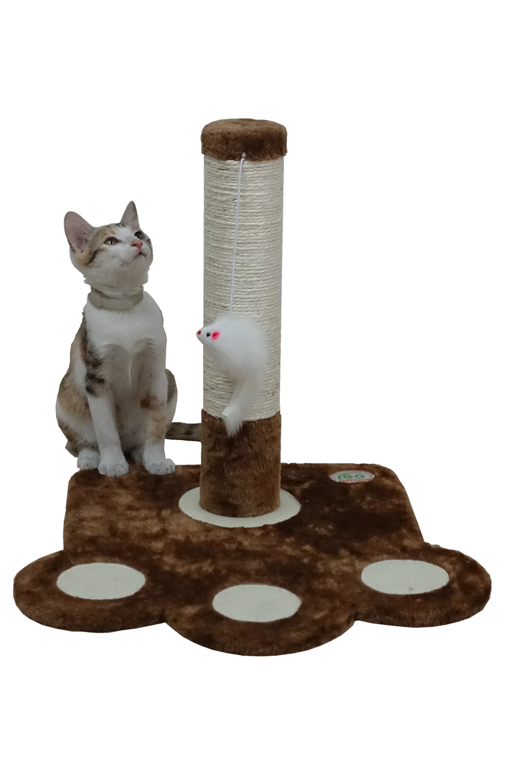 Algopix Similar Product 12 - Go Pet Club Everyday Value 16in Small