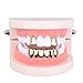 Algopix Similar Product 5 - Gold Grillz Mouth Teeth 24K Plated Gold