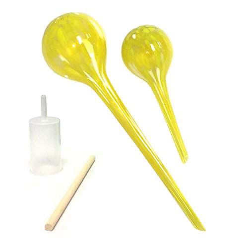 Algopix Similar Product 11 - GW Schleidt Glass Plant Watering