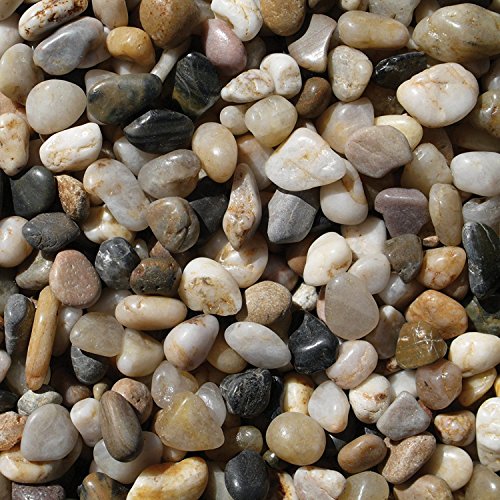 Algopix Similar Product 6 - Exotic PMS0510 OvQpSm Polished Gravel