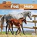 Algopix Similar Product 19 - From Foal to Horse