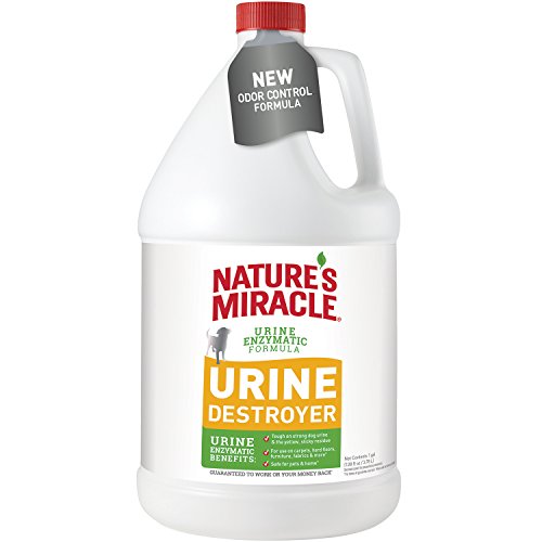Algopix Similar Product 10 - Natures Miracle Dog Urine Destroyer