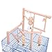Algopix Similar Product 20 - QBLEEV Parrot Playstand Bird Play Stand
