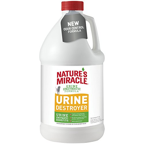 Algopix Similar Product 17 - Natures Miracle Dog Urine Destroyer