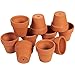 Algopix Similar Product 5 - Juvale 10 Pack 25 inch Mini Terra