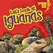 Algopix Similar Product 19 - Let's Look at Iguanas
