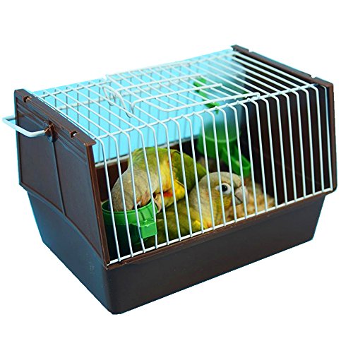 Algopix Similar Product 9 - NAKIQ Simple Middle and Small Parrot