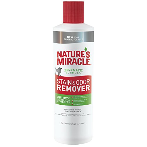 Algopix Similar Product 19 - Natures Miracle Dog Stain and Odor