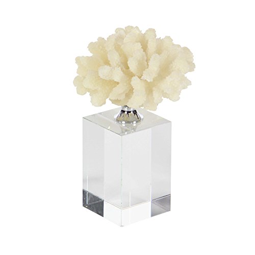 Algopix Similar Product 4 - Benzara Seashore Finishedecoral