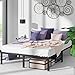 Algopix Similar Product 2 - ZINUS Yelena 14 Inch Metal Platform Bed