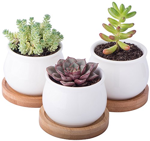 Algopix Similar Product 19 - StarPack Premium 3 Piece Mini White