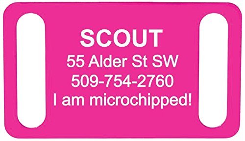 Algopix Similar Product 18 - GoTags Pet ID Personalized SlideOn