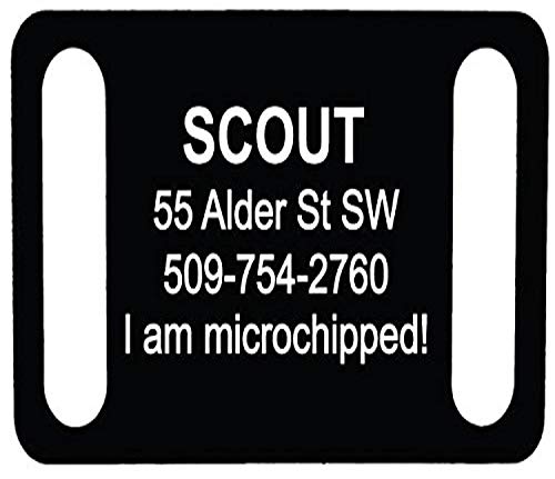 Algopix Similar Product 15 - GoTags Pet ID Personalized SlideOn