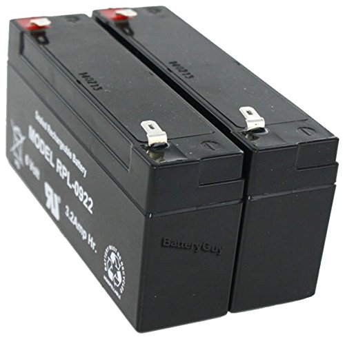 Algopix Similar Product 6 - DualLite 12922  0120922 Battery