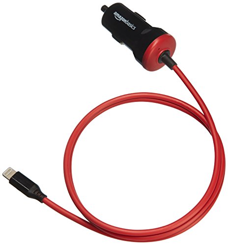 Algopix Similar Product 1 - Amazon Basics 12W 5V 24A Car