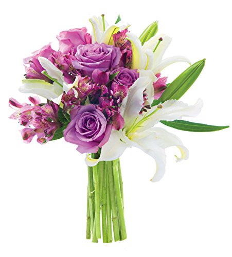 Algopix Similar Product 9 - KaBloom Lilac Legends Bouquet 5 Purple