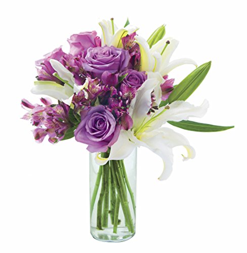 Algopix Similar Product 18 - KaBloom Lilac Legends Bouquet 5 Purple