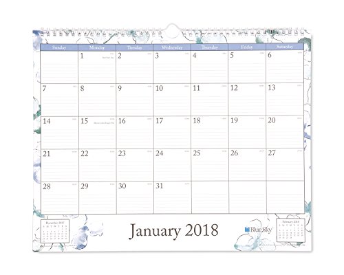 Algopix Similar Product 1 - Blue Sky 2018 Wall Calendar TwinWire