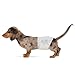 Algopix Similar Product 16 - Amazon Basics Male Dog Diapers 30