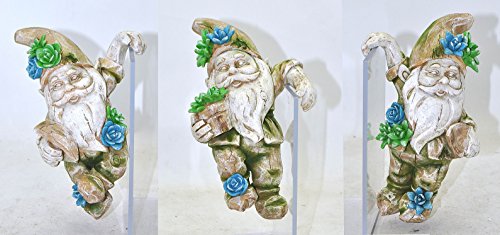 Algopix Similar Product 9 - Gnome Hanger - Set of 3