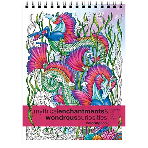 Algopix Similar Product 1 - Action Publishing Coloring Book