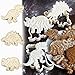 Algopix Similar Product 7 - Dinosaur Cookie Cutters for Kids By