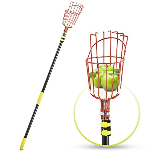 Algopix Similar Product 4 - Abco Tech Fruit Picker Tool or Fruit