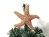 Algopix Similar Product 15 - Mini Sugar Starfish Christmas Tree