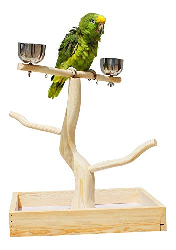 Algopix Similar Product 18 - Birds LOVE Tabletop TStand Deluxe Play