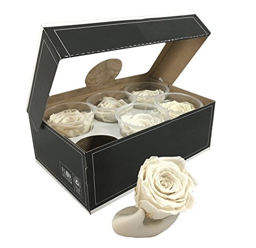Algopix Similar Product 12 - KIKA DECO Preserved Roses Head Pack