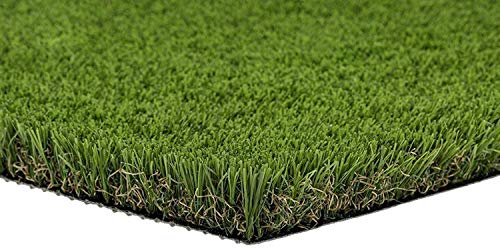 Algopix Similar Product 16 - PZG Premium Deluxe Artificial Grass