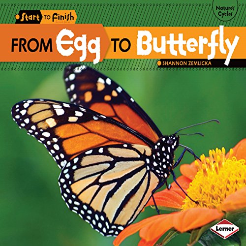 Algopix Similar Product 13 - From Egg to Butterfly