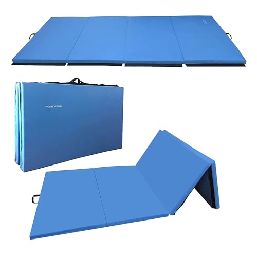 Algopix Similar Product 12 - BalanceFrom GoGym AllPurpose 4x10x2