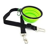 Algopix Similar Product 17 - Eightnight Portable Travel Walking