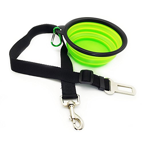 Algopix Similar Product 14 - Eightnight Portable Travel Walking
