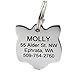 Algopix Similar Product 16 - GoTags Cat ID Tag Personalized Cat