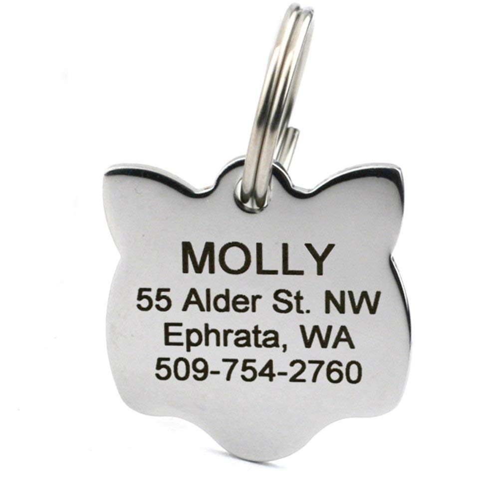 Algopix Similar Product 5 - GoTags Cat ID Tag Personalized Cat