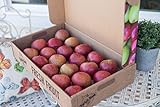 Algopix Similar Product 16 - Stayman Apples Gift Box (18-22 Apples)