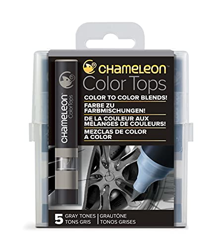Algopix Similar Product 15 - Chameleon Art Products Gray Tones