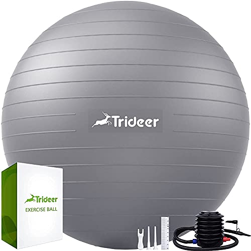 Algopix Similar Product 1 - Trideer Extra Thick Yoga Ball Exercise