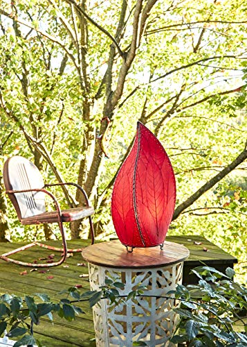 Algopix Similar Product 15 - Eangee Home Design Outdoor Indoor