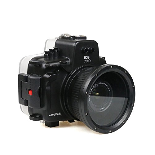 Algopix Similar Product 5 - 