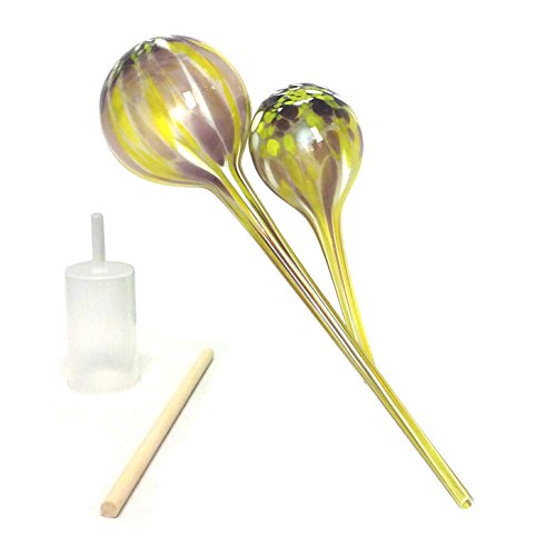 Algopix Similar Product 19 - GW Schleidt Glass Plant Watering