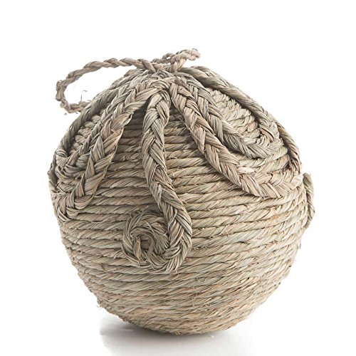 Algopix Similar Product 14 - Factory Direct Craft Set of 2 Natural