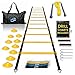 Algopix Similar Product 14 - Invincible Fitness Agility Ladder Set 