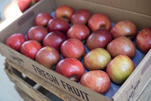 Algopix Similar Product 4 - York Apples Gift Box (18-22 Apples)