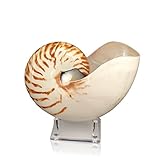 Algopix Similar Product 15 - Tumbler Home Natural Chambered Nautilus